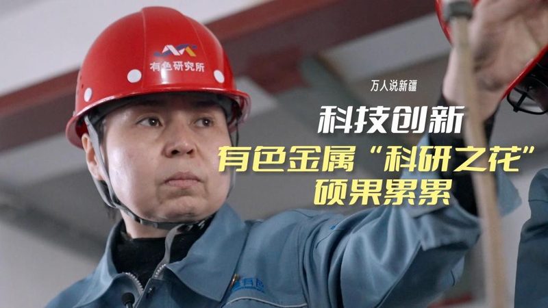 企业在选择“高新技术企业”与“专精特新”时，可从以下方面进行考量：
